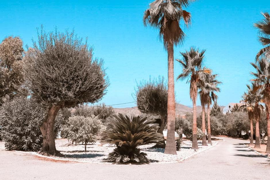 Finca Besito Alhaurín el Grande Zewnętrze zdjęcie